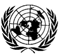 UN logo